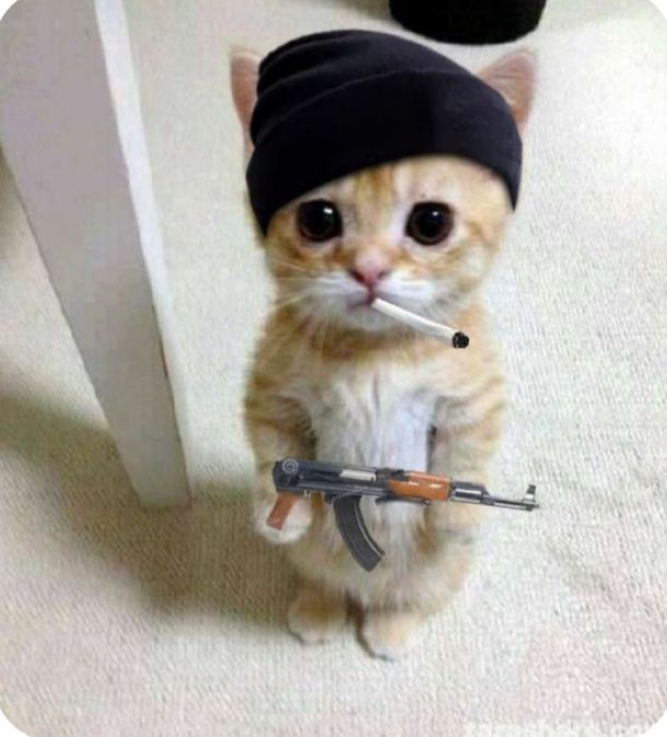 EDATOTO : Bandar Togel Macau Asli Toto 4D Deposit 2026 Melalui Chat Support